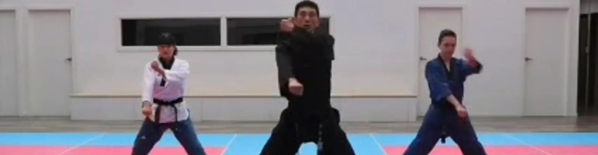 Tiger World Class Tae Kwon Do