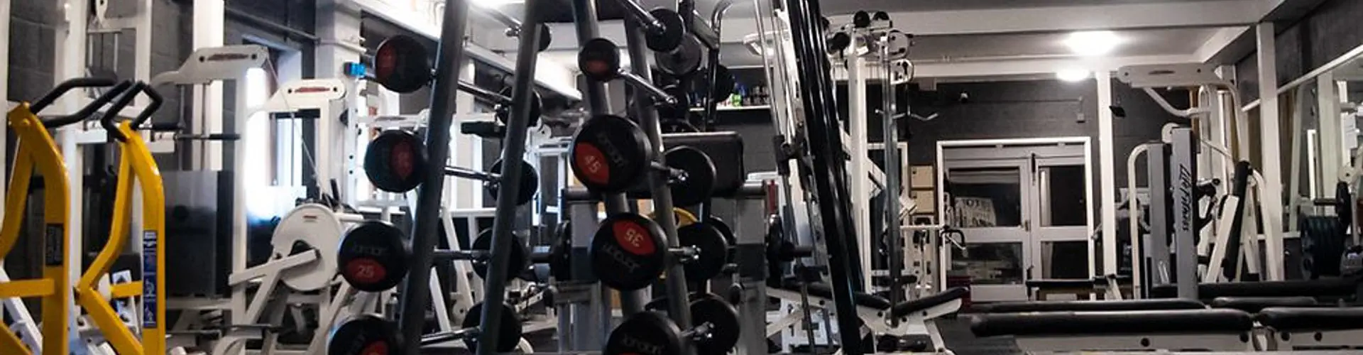 Kingdom Training Gym