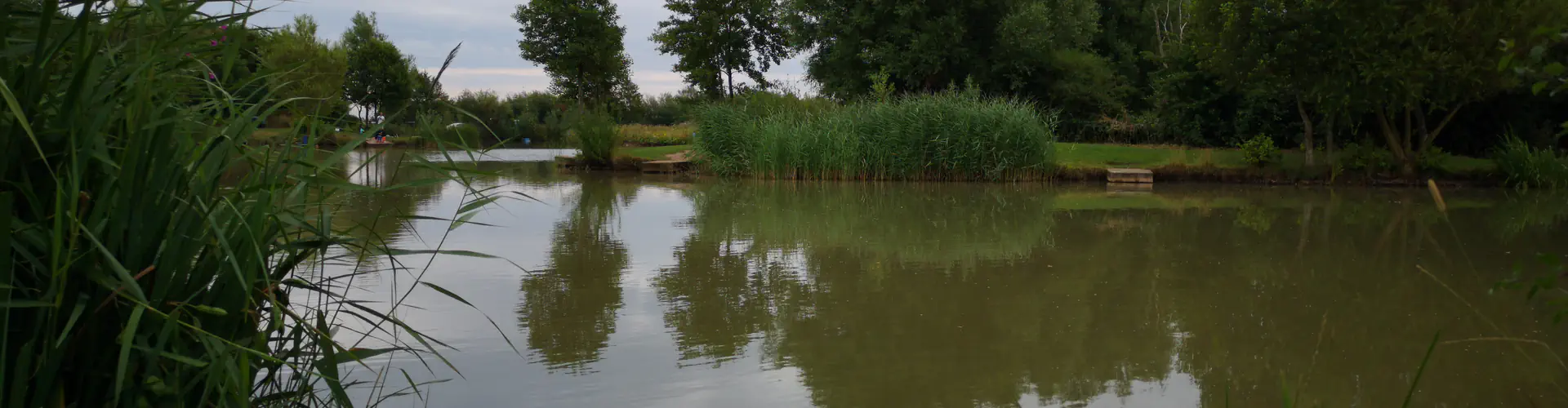 Mescar Fisheries