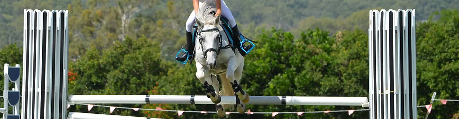 Ethereal Equestrian