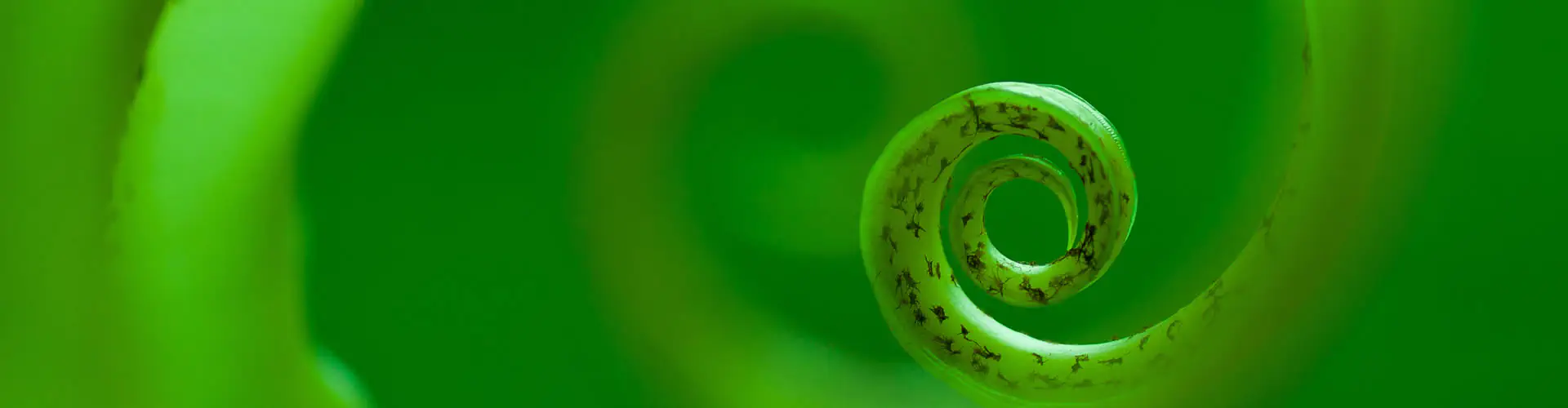 Conscious Body Pilates