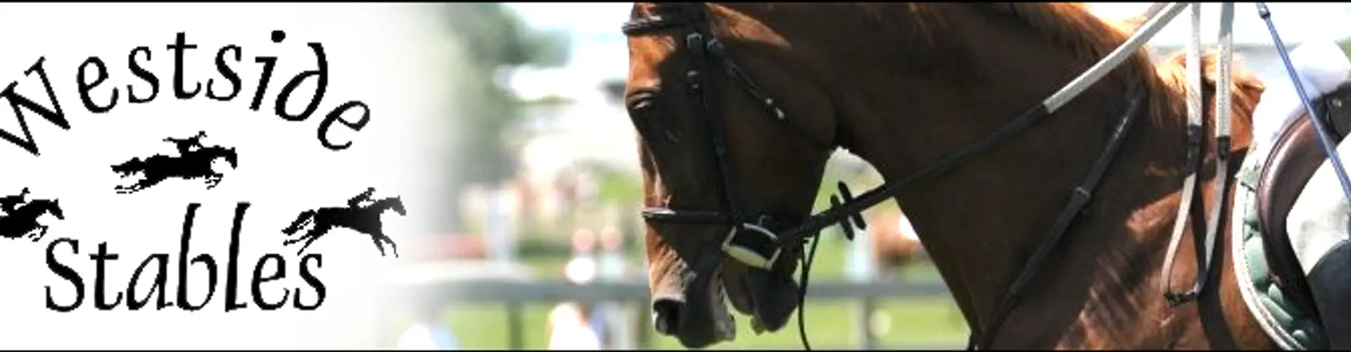 Westside Stables