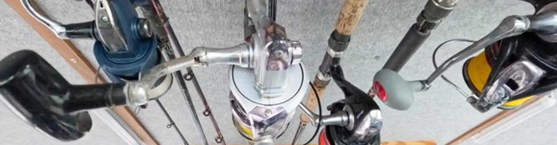 Kaimoana Charter Fishing & Sightseeing