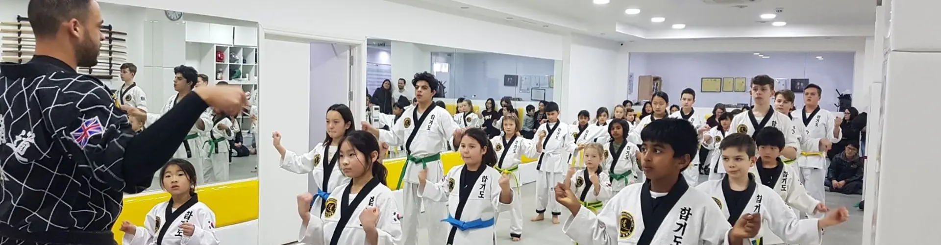 SKMA Hapkido Martial Arts Club
