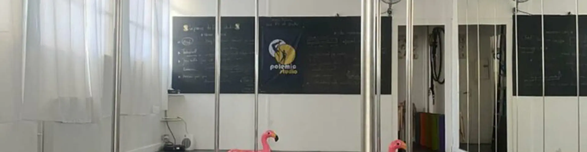 Polemic Studio