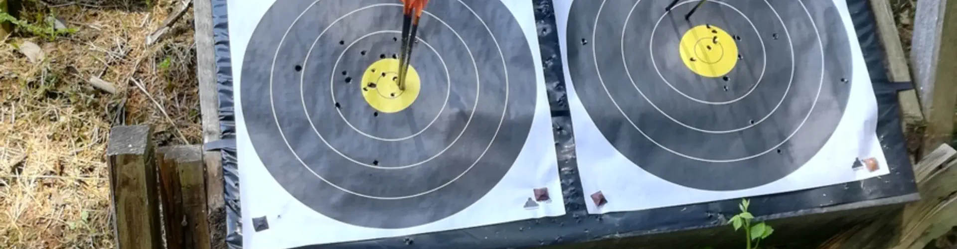 compagnie des Archers de l'Albigeois