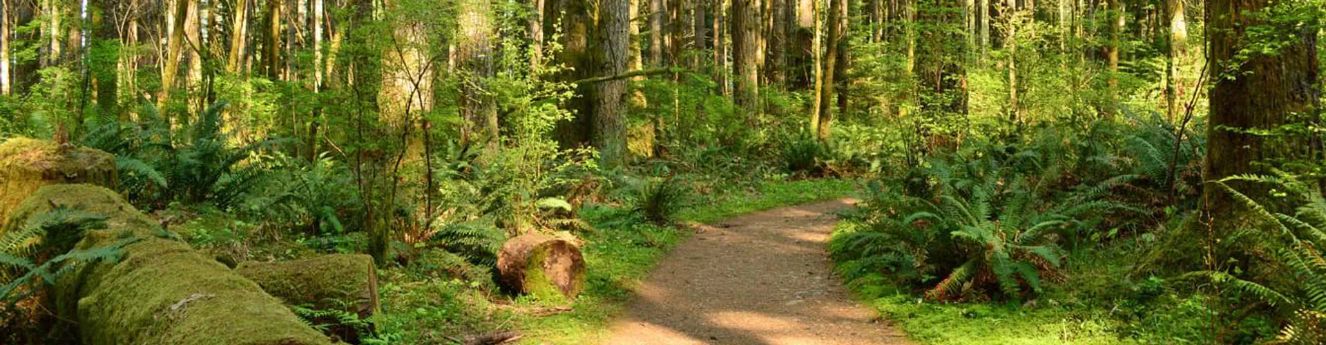 Comox Valley Sports & Aquatic Centres