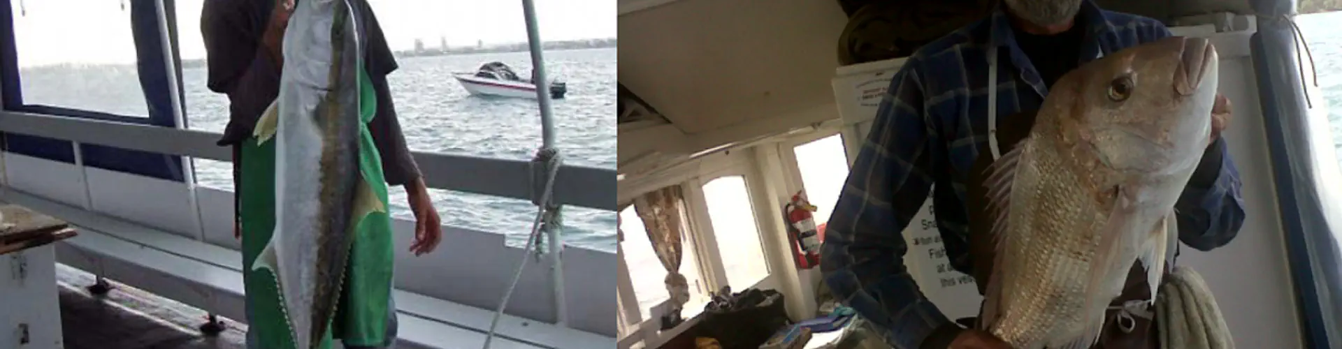 Riverhead Cruises
