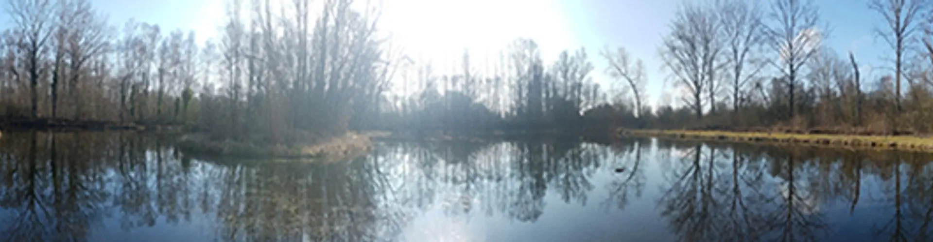 Carpodrome - Les Amis du Marais