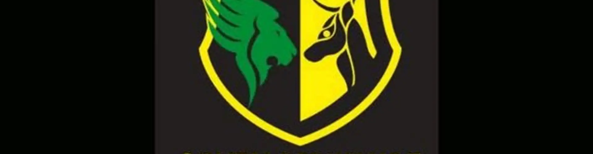 South Berkshire Hockey Club