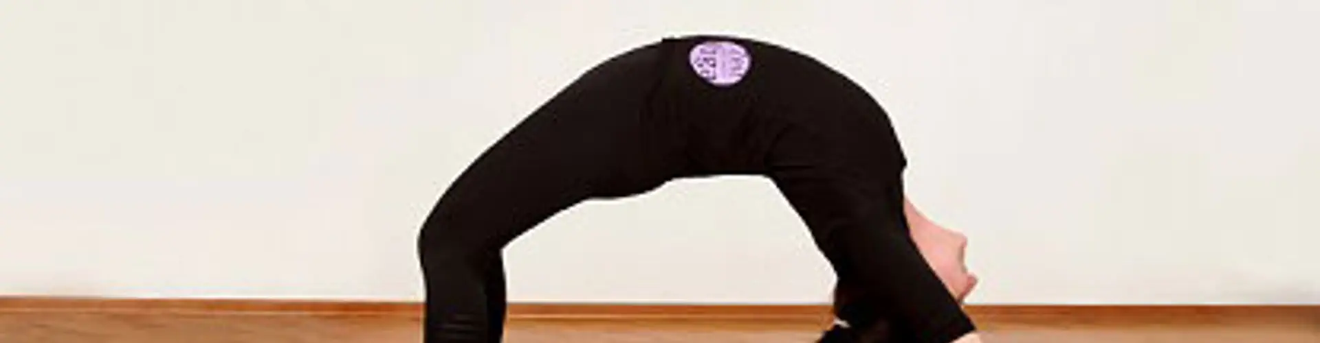 Yoga Kurse nach Iyengar Tanja Sardy