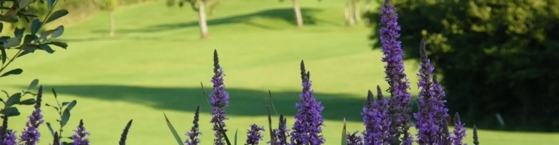 Portmore Golf Park & TOPTRACER Range