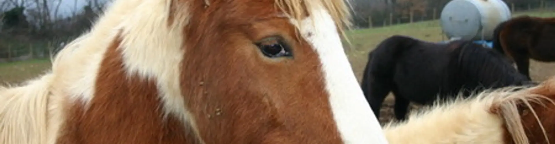 FERME DE CHANTEBLE