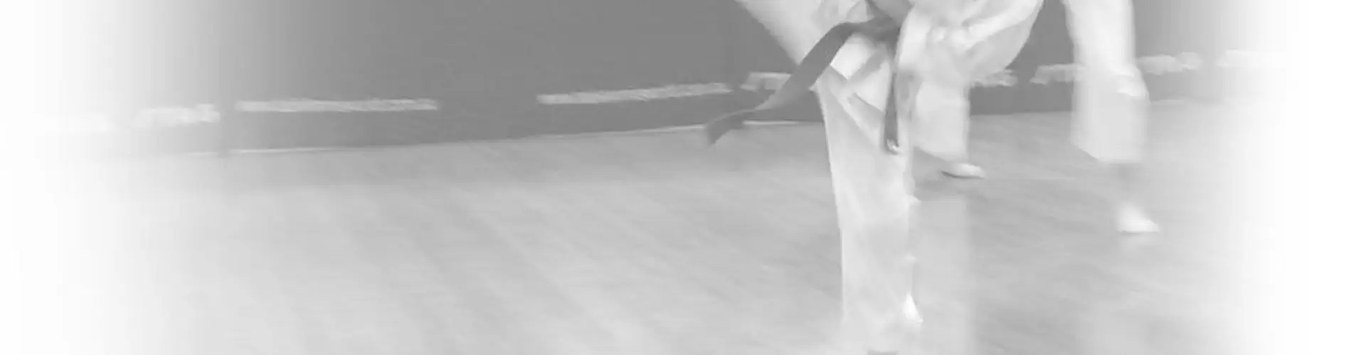 Torakan Karate