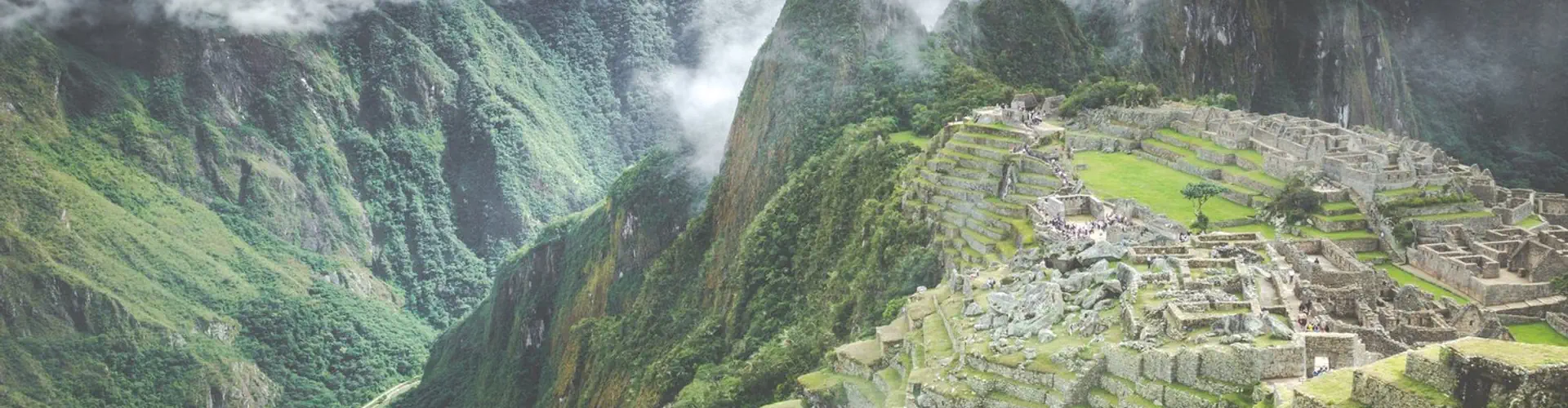 Shamanic Space: Working with Ayahuasca