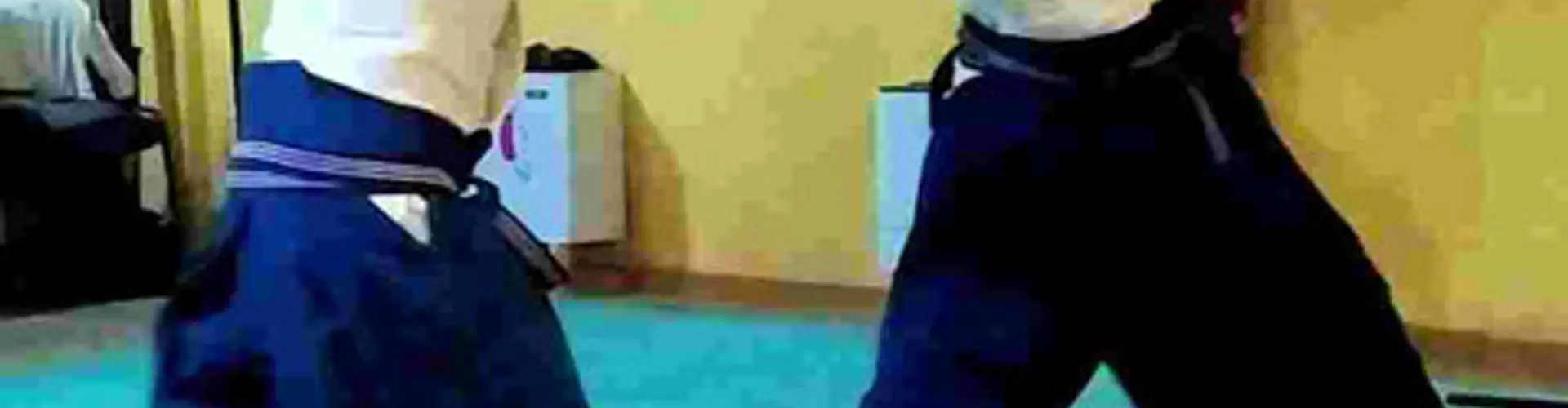 WA-JUTSU-CARPENTRAS-SAINT-DIDIER