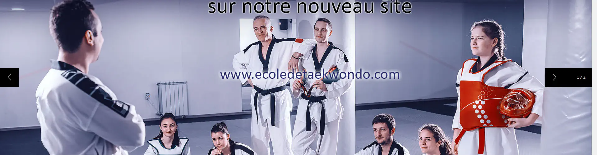 Ecole de Taekwondo LE 13 By PUMA