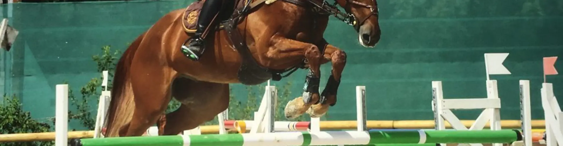 Stables Du Lac