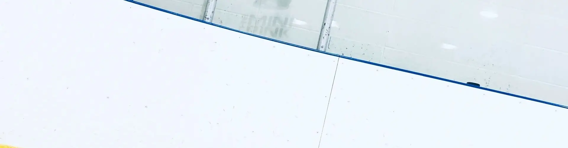 The Mini Rink