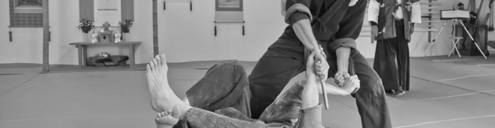 JUJUTSU MARTIAL ARTS - JINENKAN KENSHO DOJO