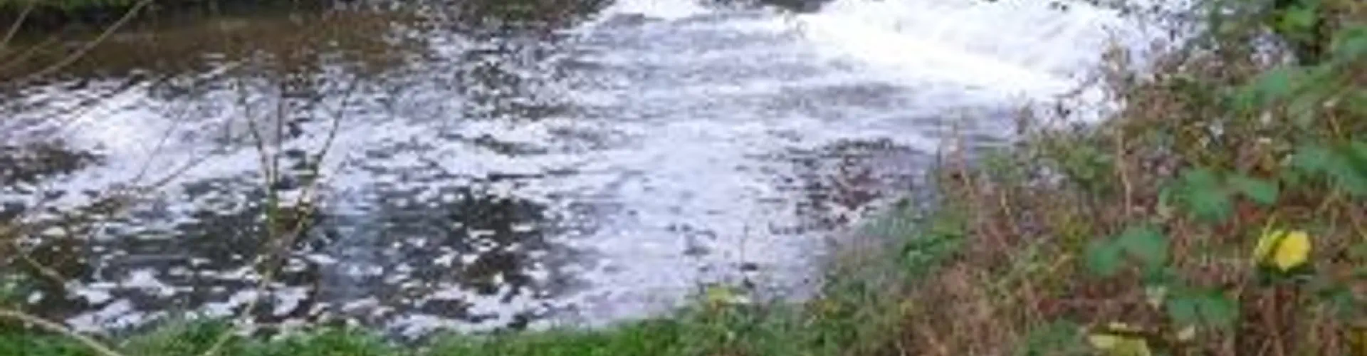 Birmingham Anglers Association