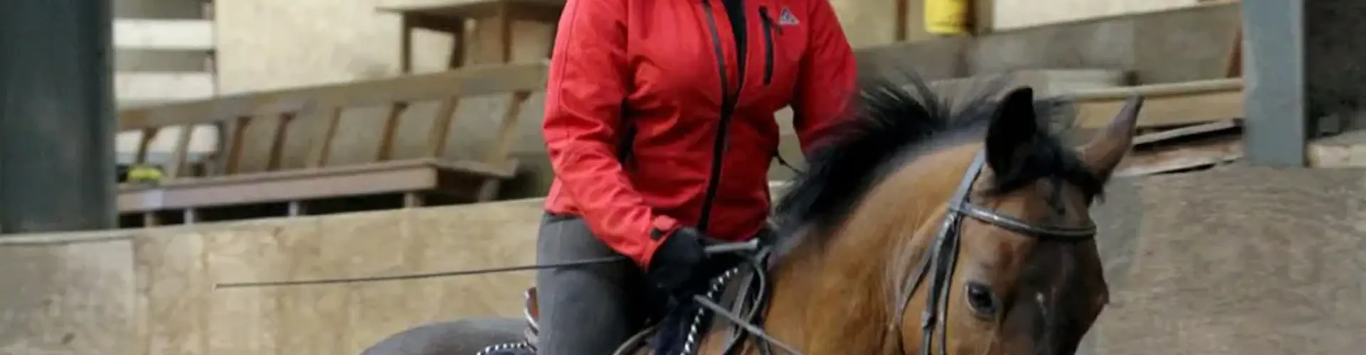 Horse riding sessions in Glasgow