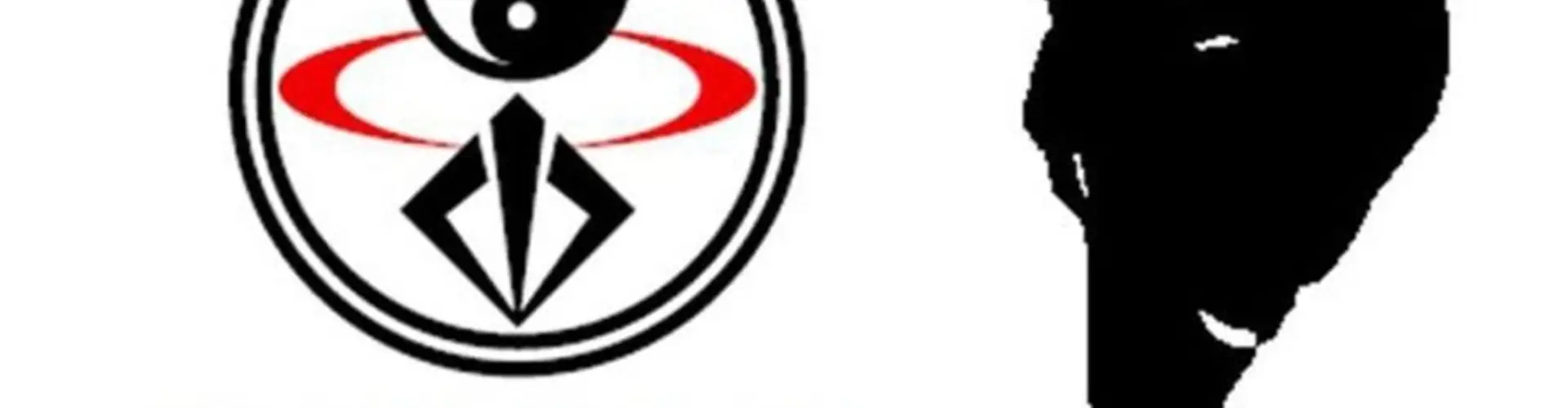 Ymaa Paris - Yang's Martial Arts Asso