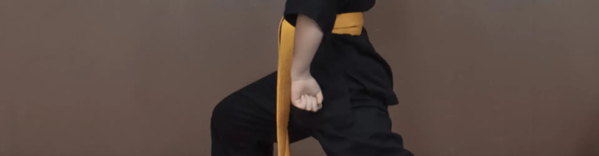 The Kung Fu School - Mt Albert