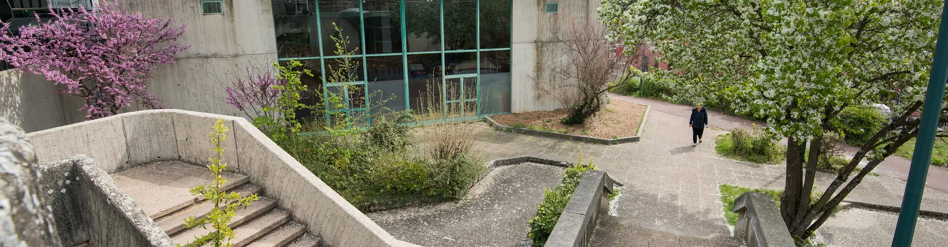 Didier PIRONI Gymnasium