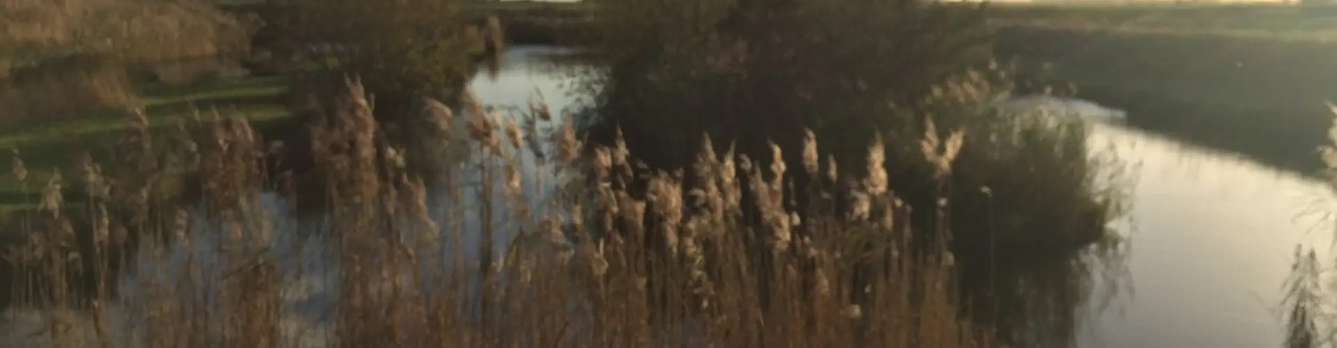 White House Farm Fishery