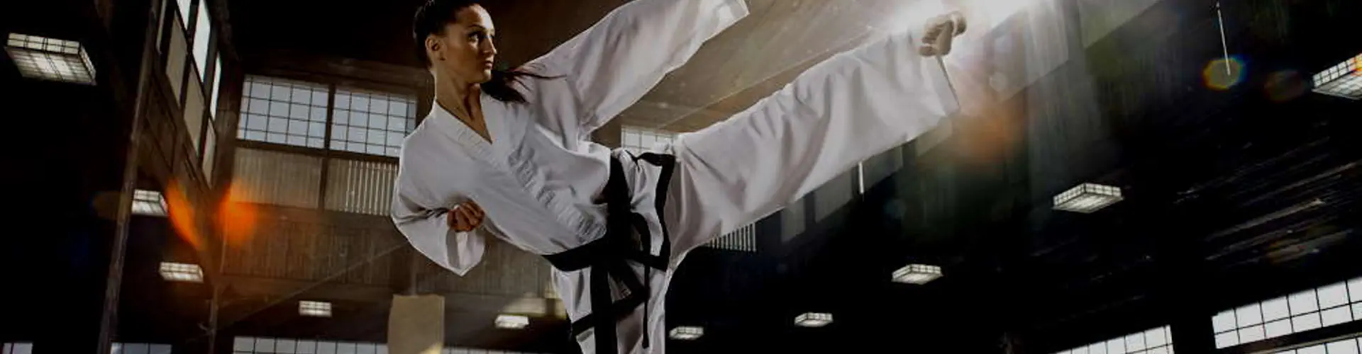 Aspire Martial Arts