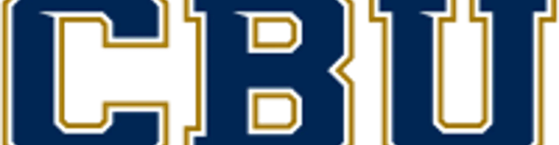 Brisbane Bullets Basketball Club Pty Ltd