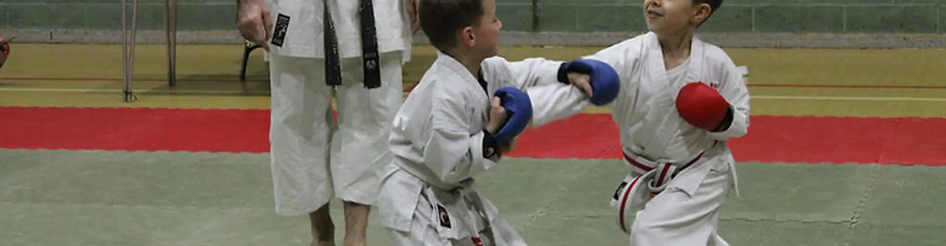 Ni-Sen Karate Kai