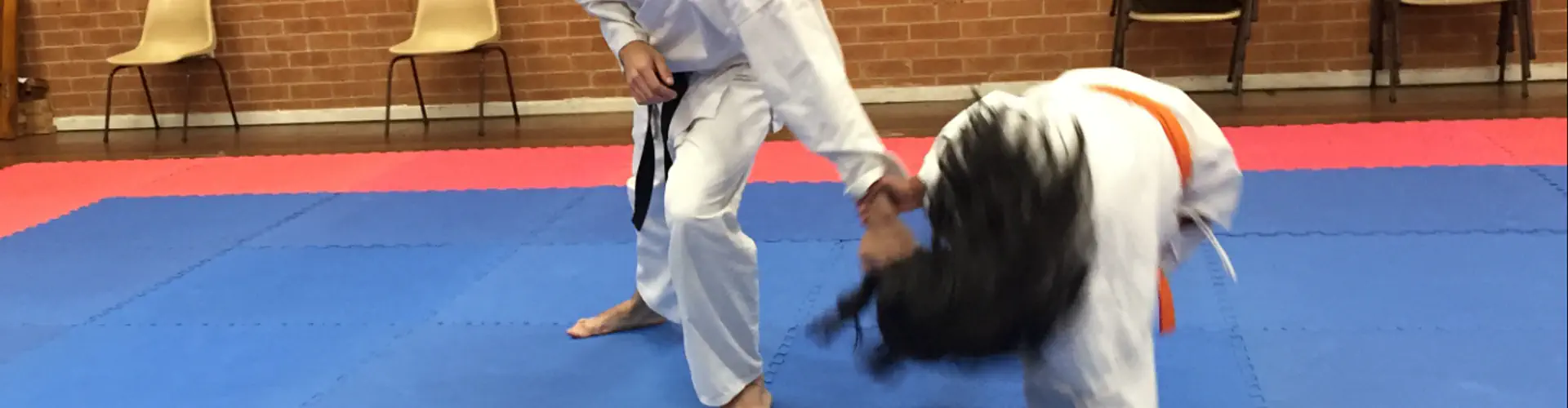 Way of Life Aiki Dojo