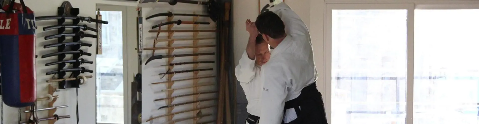Vaillante Aikido