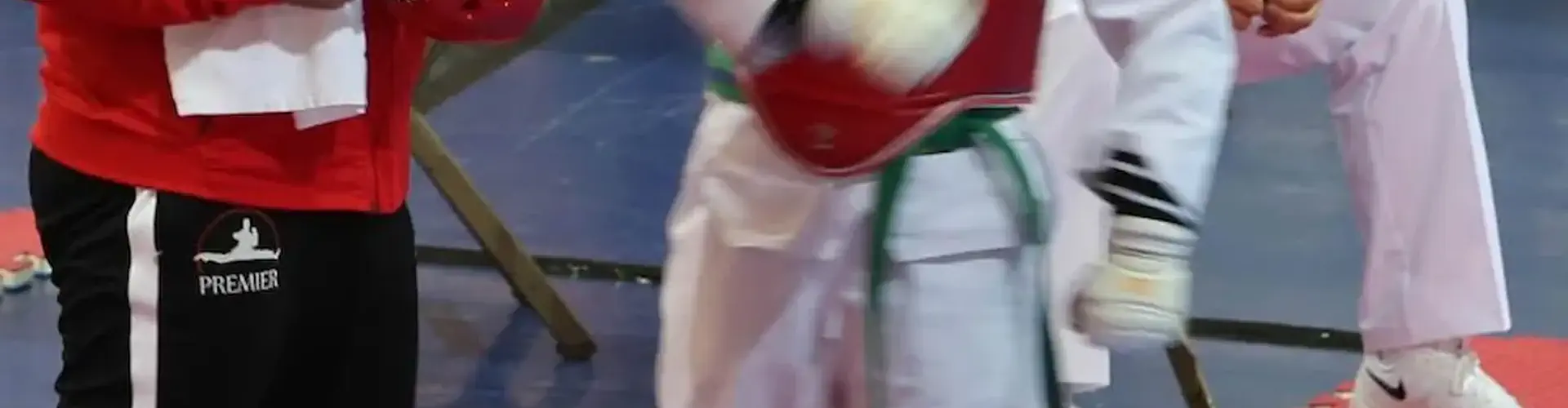 Foundation Taekwondo Classes
