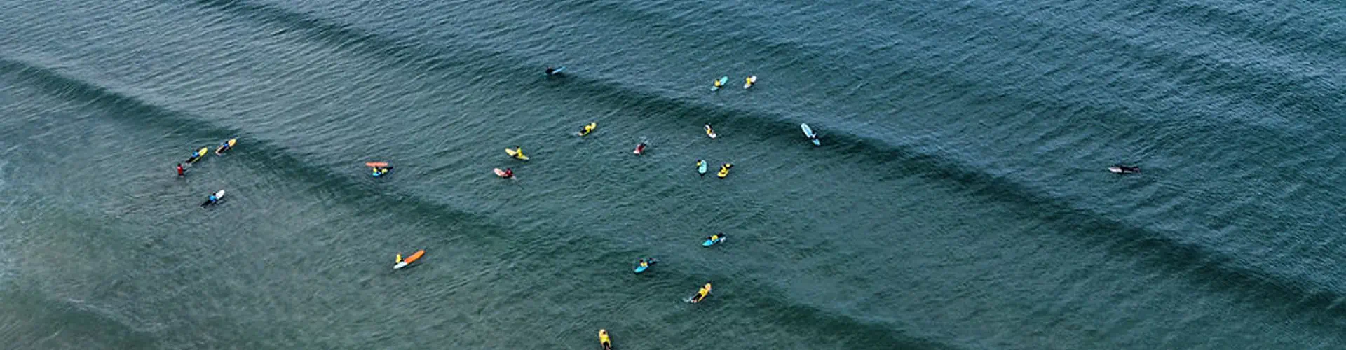 Shore Surf School