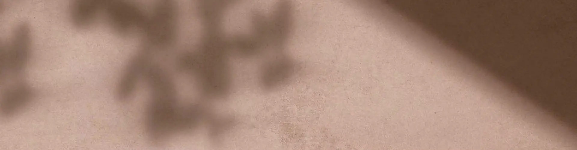 Qi Gong Paris Zen