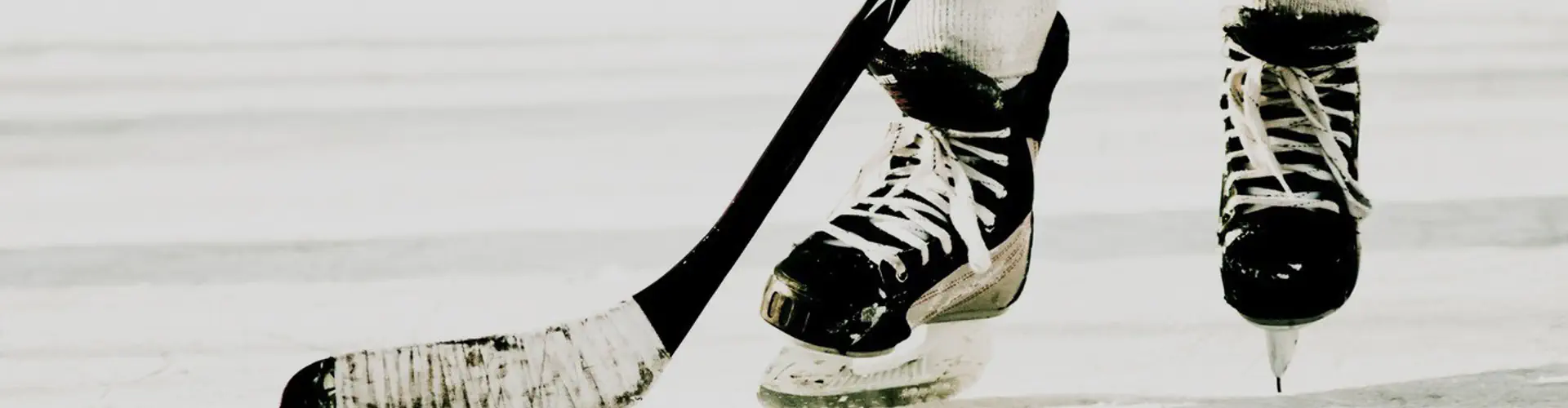 Esterhazy Minor Hockey Association