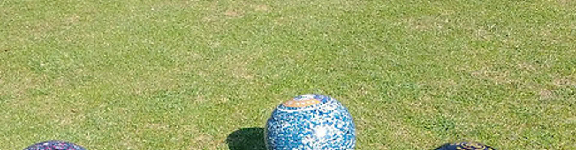 Caldecott Park Bowling Club