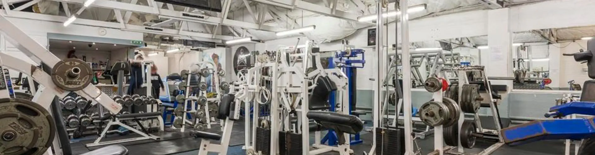Spartan Gym