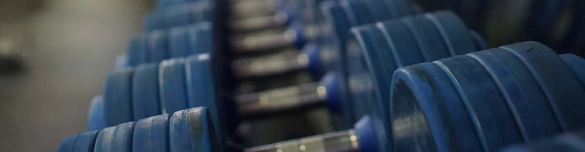 FIT College: Fitness Courses in Townsville