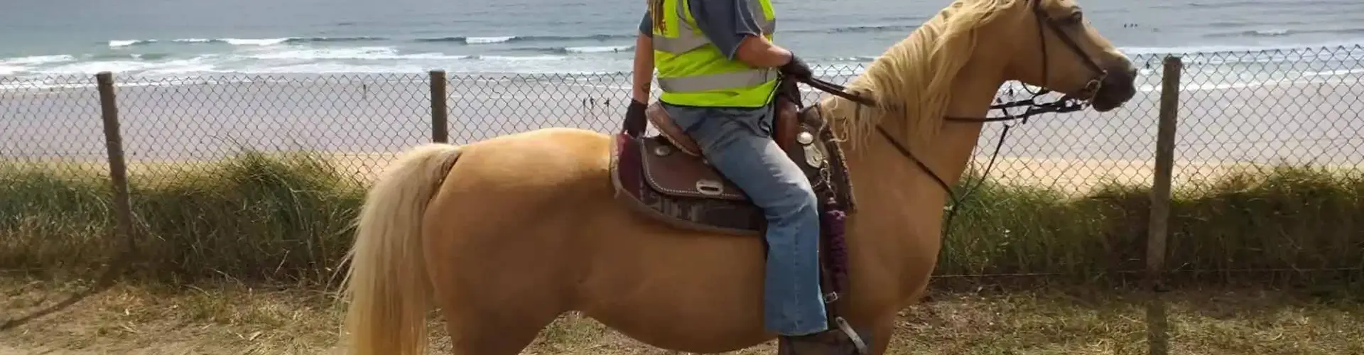 St Hilary Equine Centre
