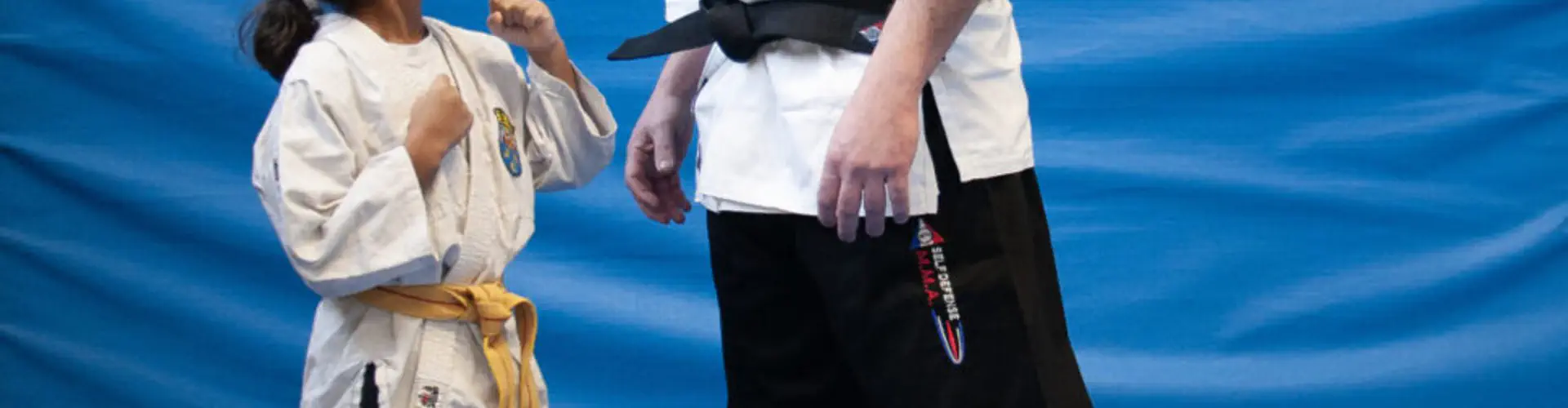 Clubs des Yvelines / MMA / Karaté