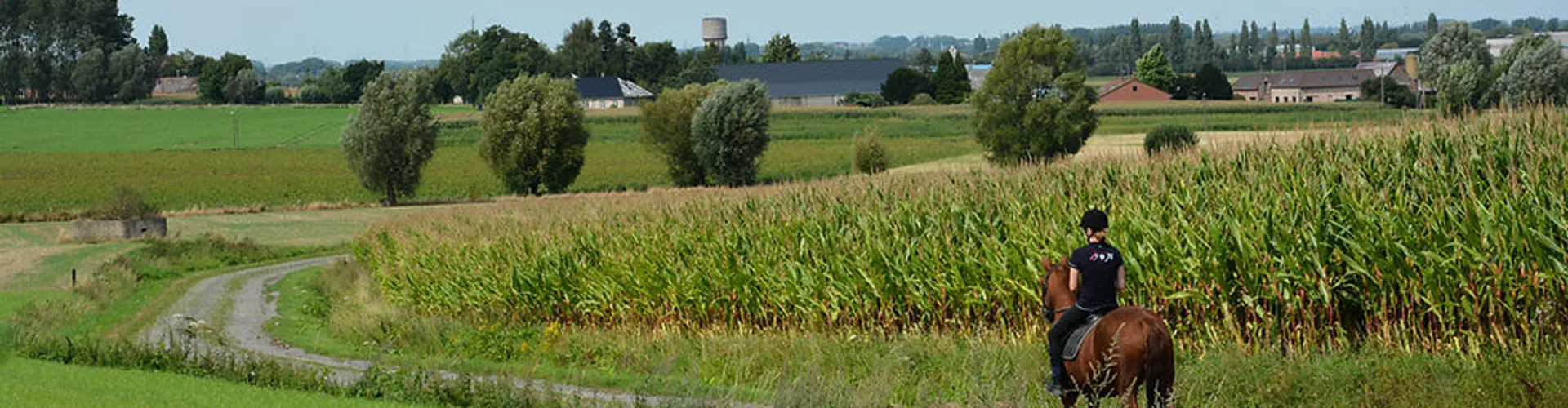 Stables Du Mont