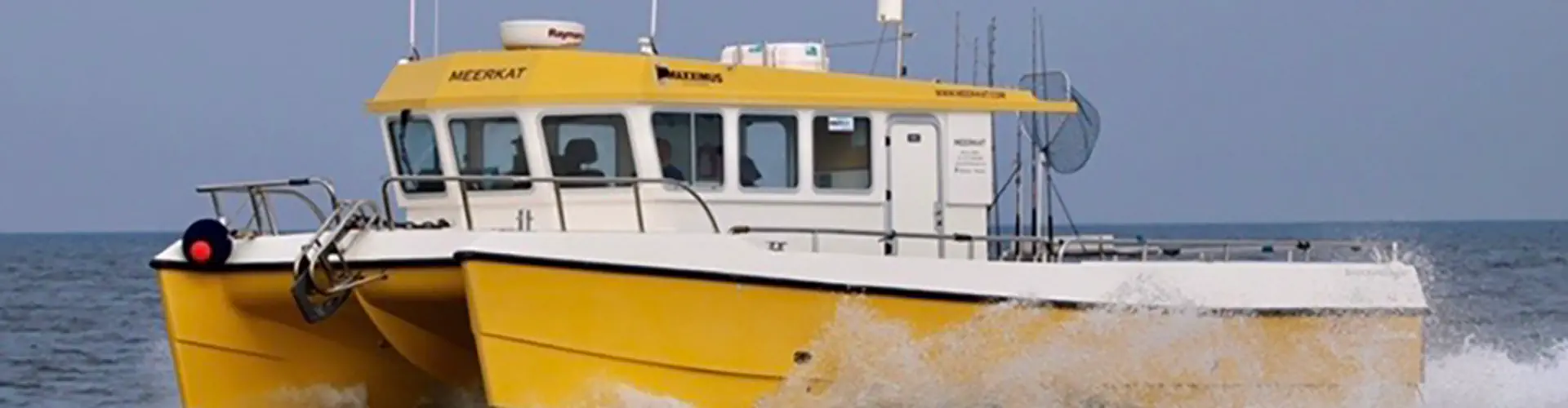 Meerkat Charters