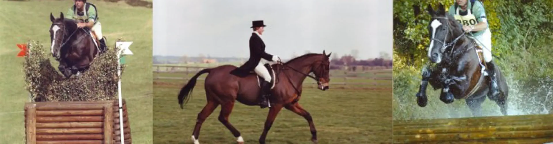 High House Farm Equestrian Services