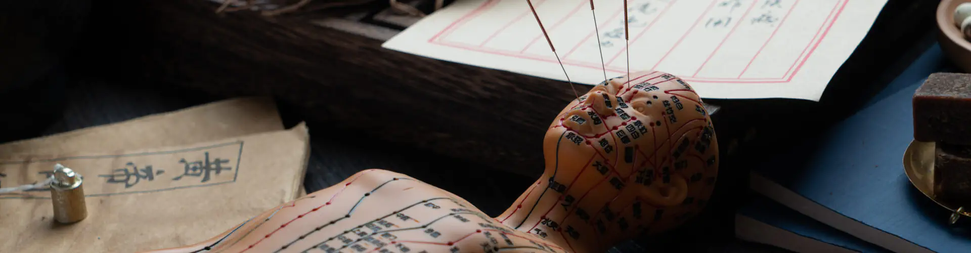 acupuncteur aix en provence - MTC - Schewin Arnaud