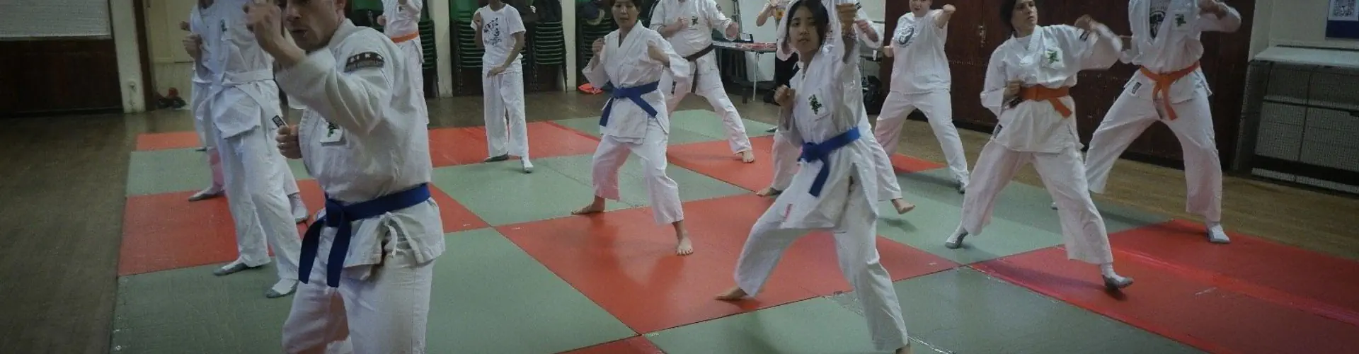 South Wimbledon Shorinji Kempo Dojo - Japanese Martial Arts