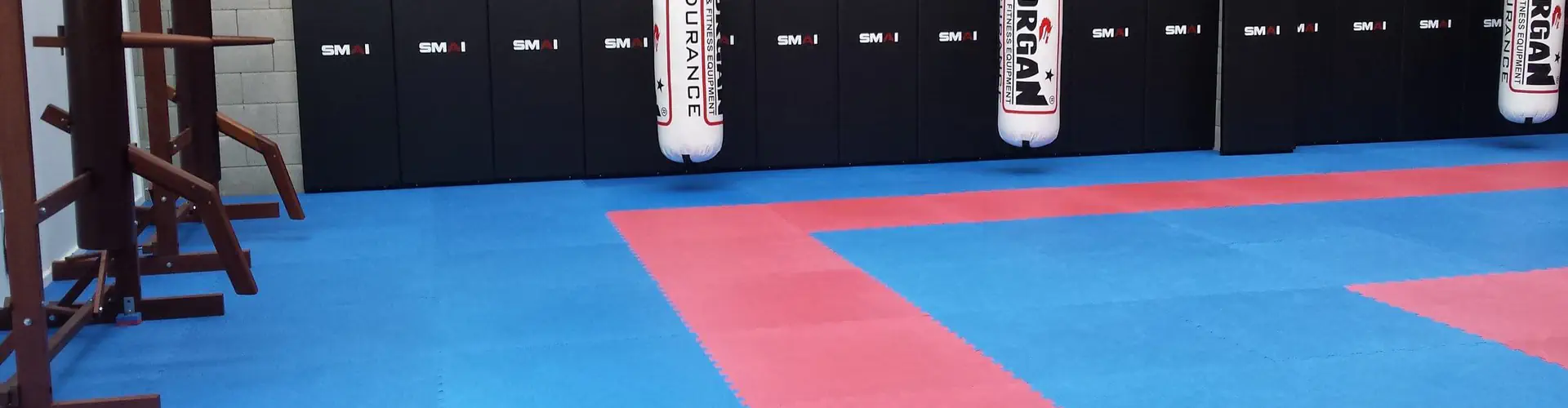 Wing Chun & Jiu-Jitsu Melbourne
